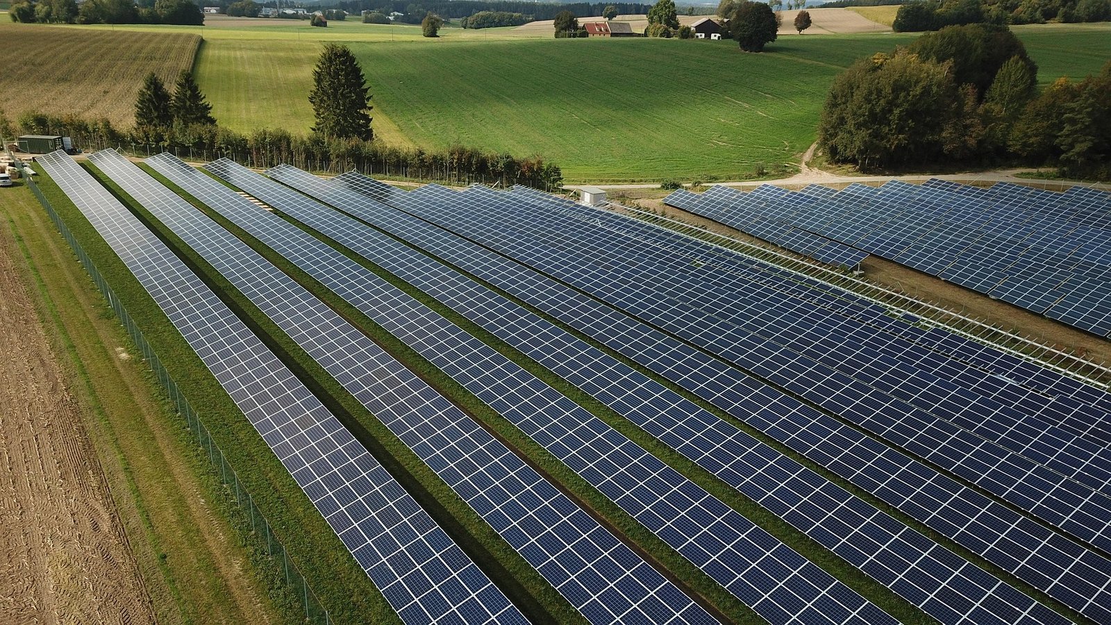 Technician inspecting solar panels
